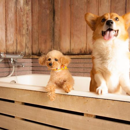 Izumigo Takayama Dog Paradise Hotel Esterno foto