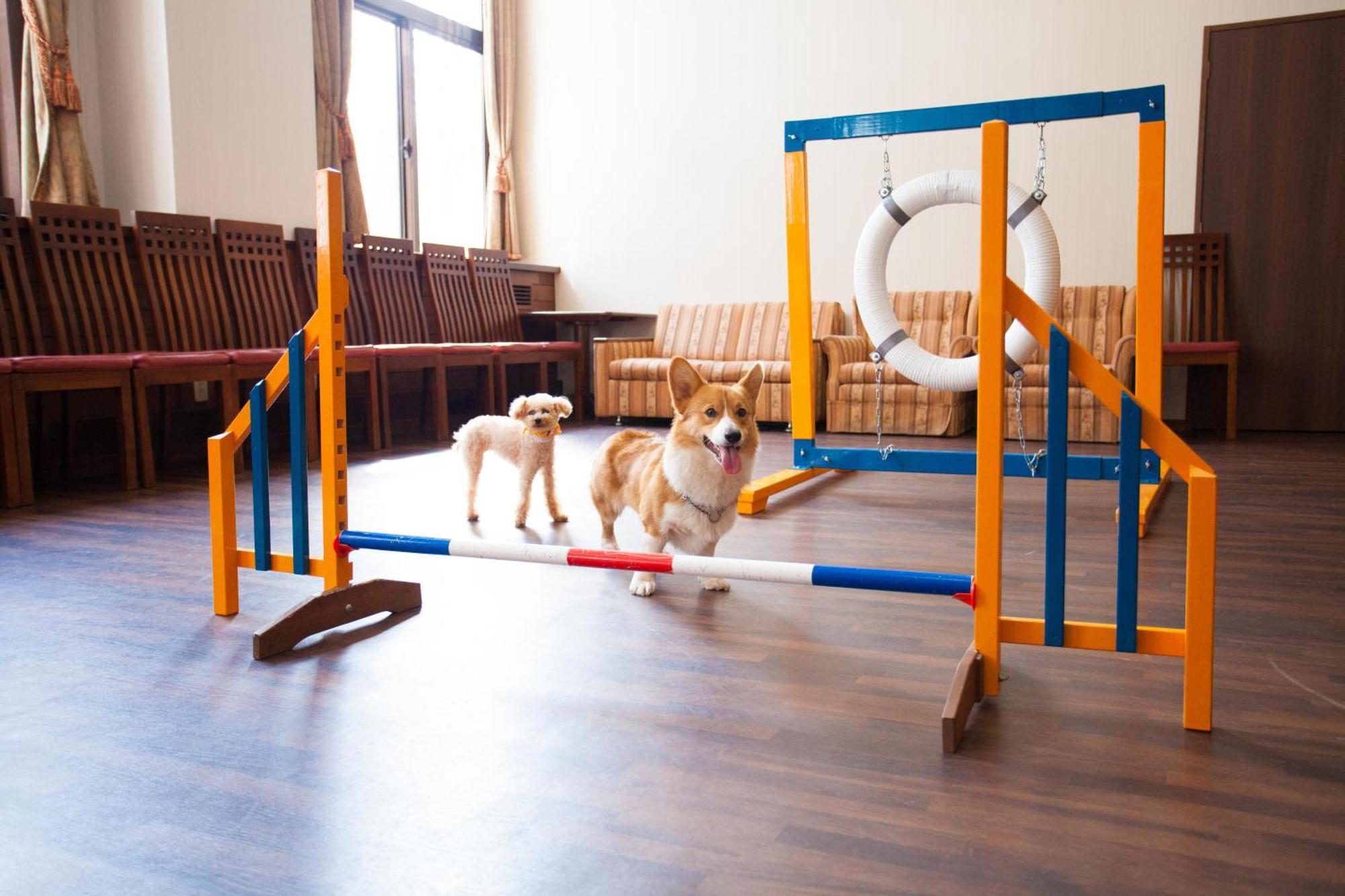 Izumigo Takayama Dog Paradise Hotel Esterno foto
